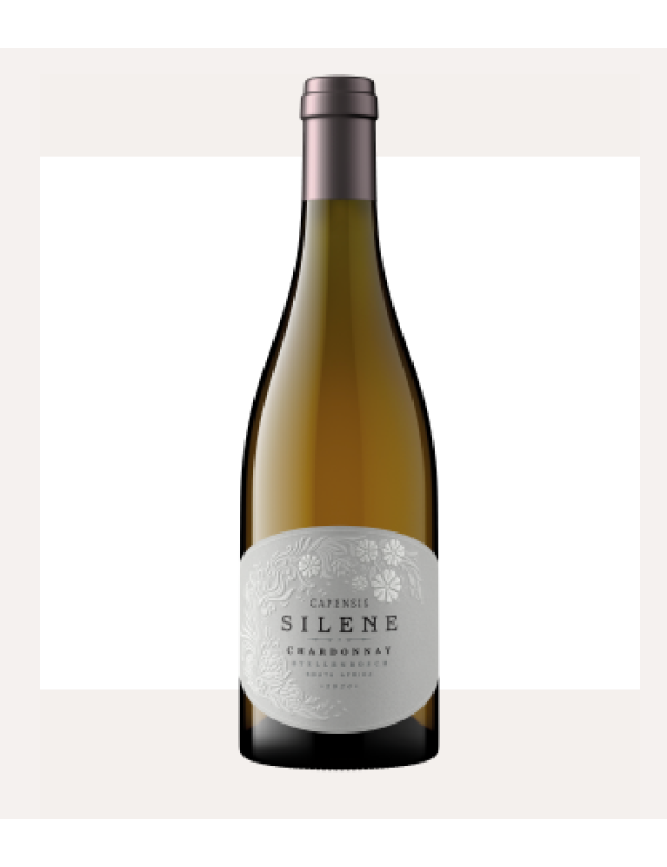 Capensis Chardonnay Silene 2019